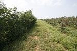 石家沟长城2段
