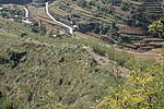 ׯ山೤